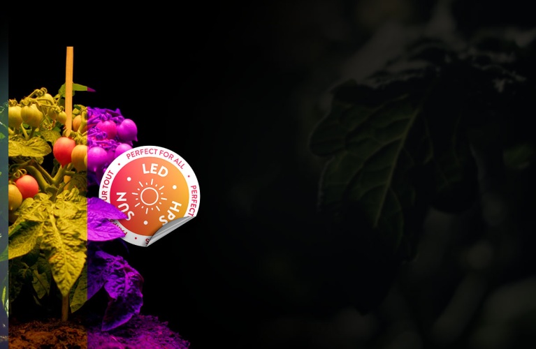 CANNA Nutrients: Perfect For All Light Sources, Including LED, HPS & Sunlight