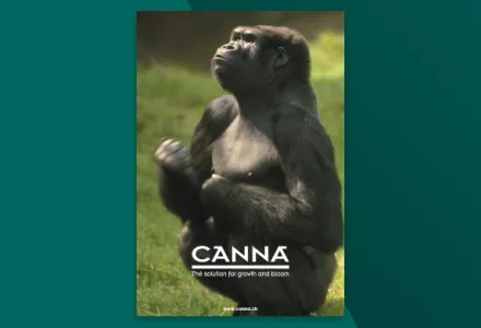 CANNA allgemeine Infobroschüre