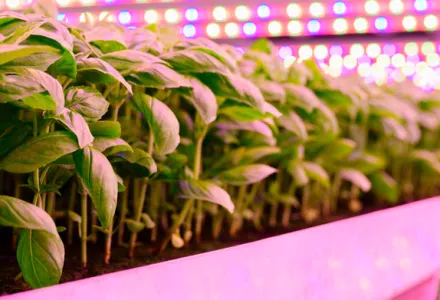 Anpassung an neue Beleuchtung – keine spezielle Flasche erforderlich