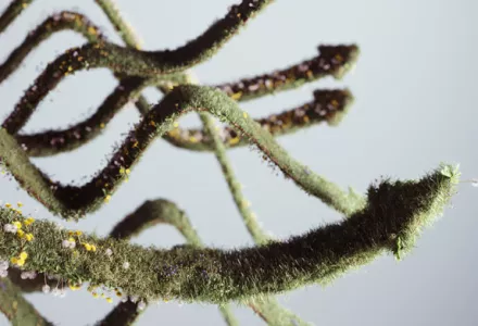 Wie man alle Werkzeuge im Werkzeugkasten für die Pflanzensteuerung nutzt